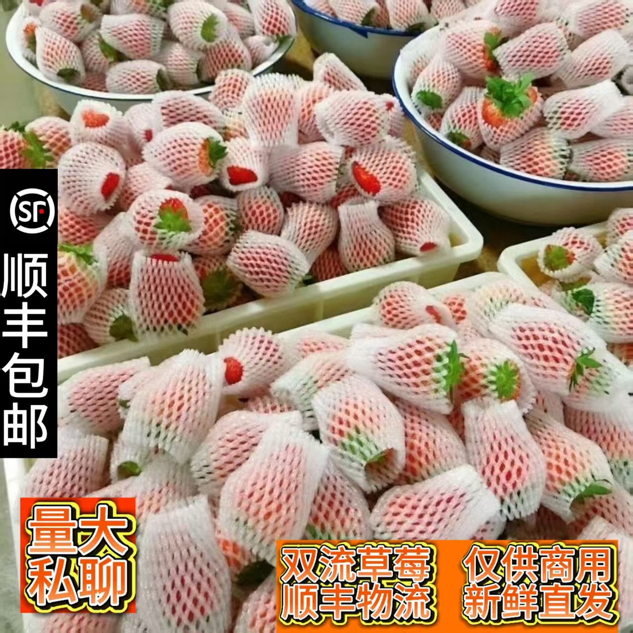 云南商用双流草莓现摘现发糖葫芦烘培奶茶专用新鲜草莓