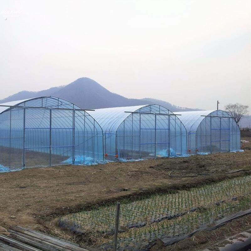。蔬菜大棚塑料膜耐老化 薄膜大棚膜透明加厚 大鹏膜大棚塑料