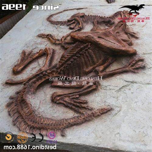 仿真恐龙骨架化石板博物馆展览馆科普化石骨架儿童开采互动沙盘