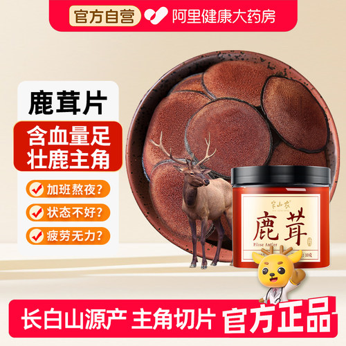 【主角大片】长白山鹿茸片