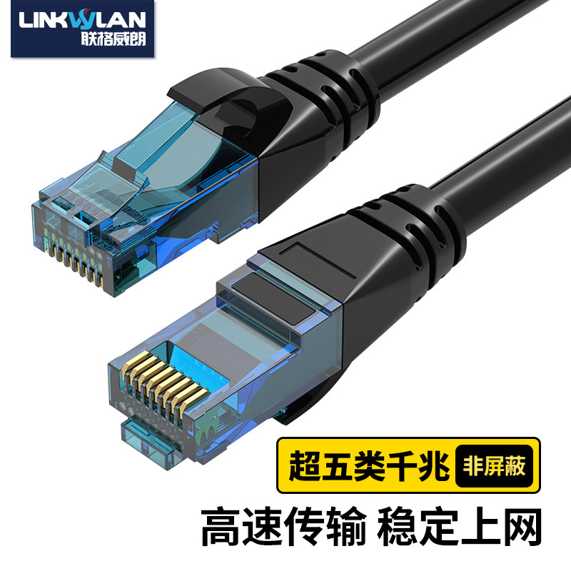 联格威朗双绞线千兆高速上网图片