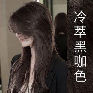 冷萃黑咖色染发膏女植物正品纯2026流行色染发剂天然无刺激泡泡沫