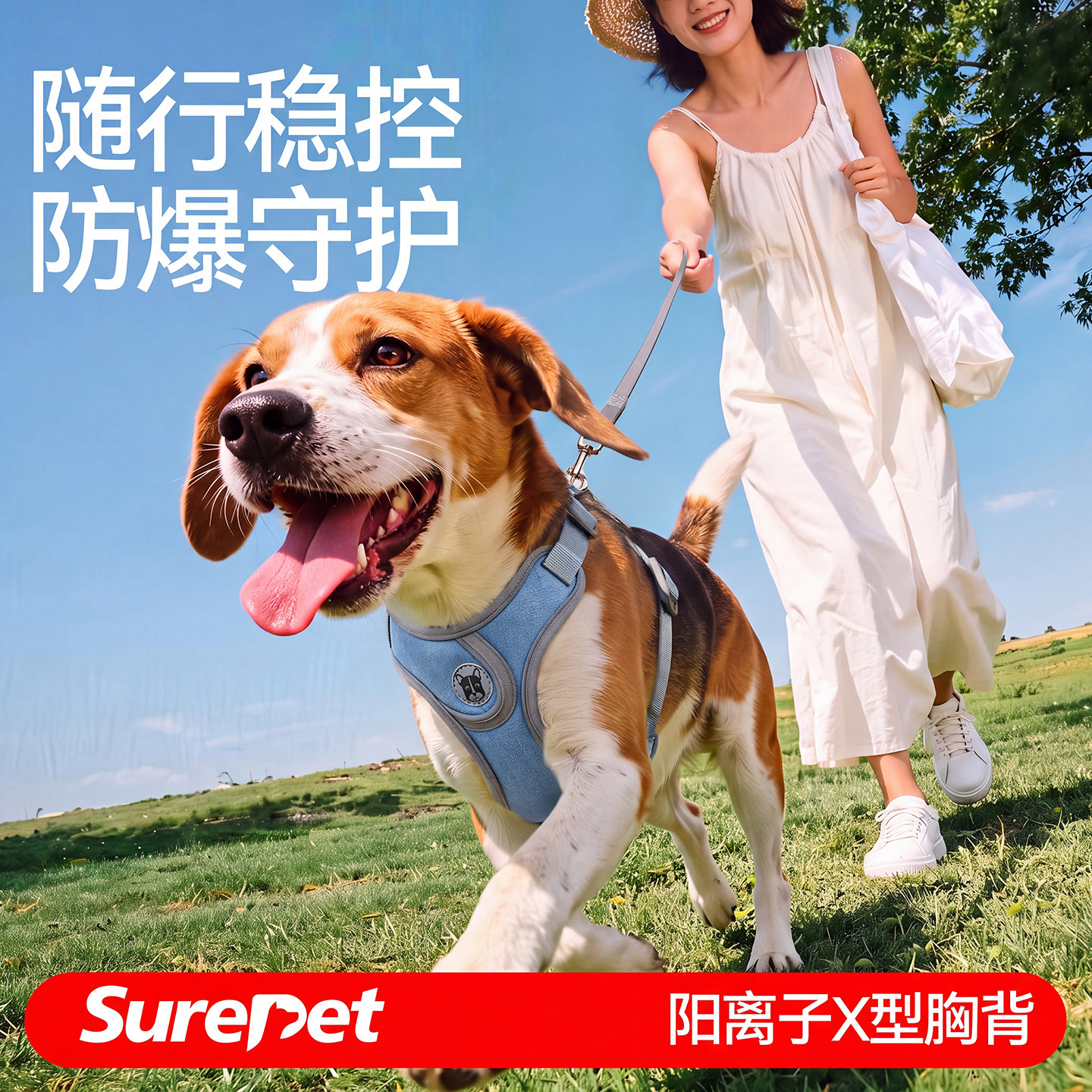 狗狗牵引绳胸背带狗胸背防爆冲狗链中小型犬巴哥狗背心式狗绳项圈