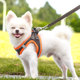 狗狗牵引绳小型犬泰迪博美狗绳子链子背心式 宠物比熊遛狗绳夏天用
