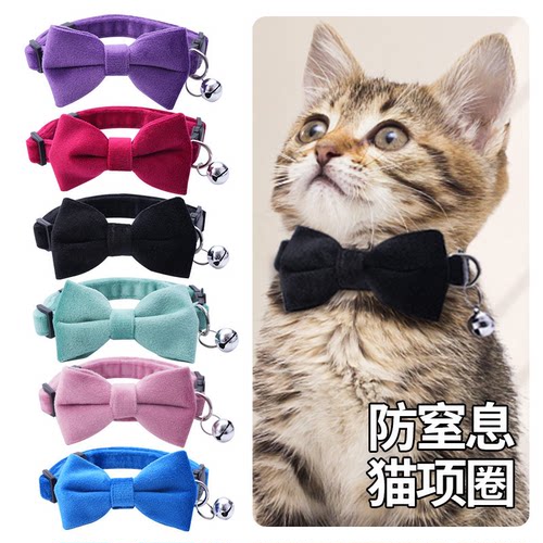 【适合小型犬】宠物通用