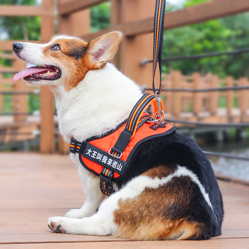 狗狗牵引绳背心式中型犬柯基大型犬金毛拉胸背带尼龙狗绳反光胸背-封面