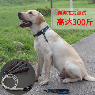 宠物牵引绳遛狗绳耐咬中型犬柯基反光钢丝绳大型犬金毛防咬断狗绳