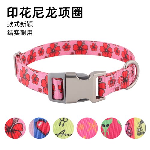 【金属插口小项圈】狗狗通用项圈