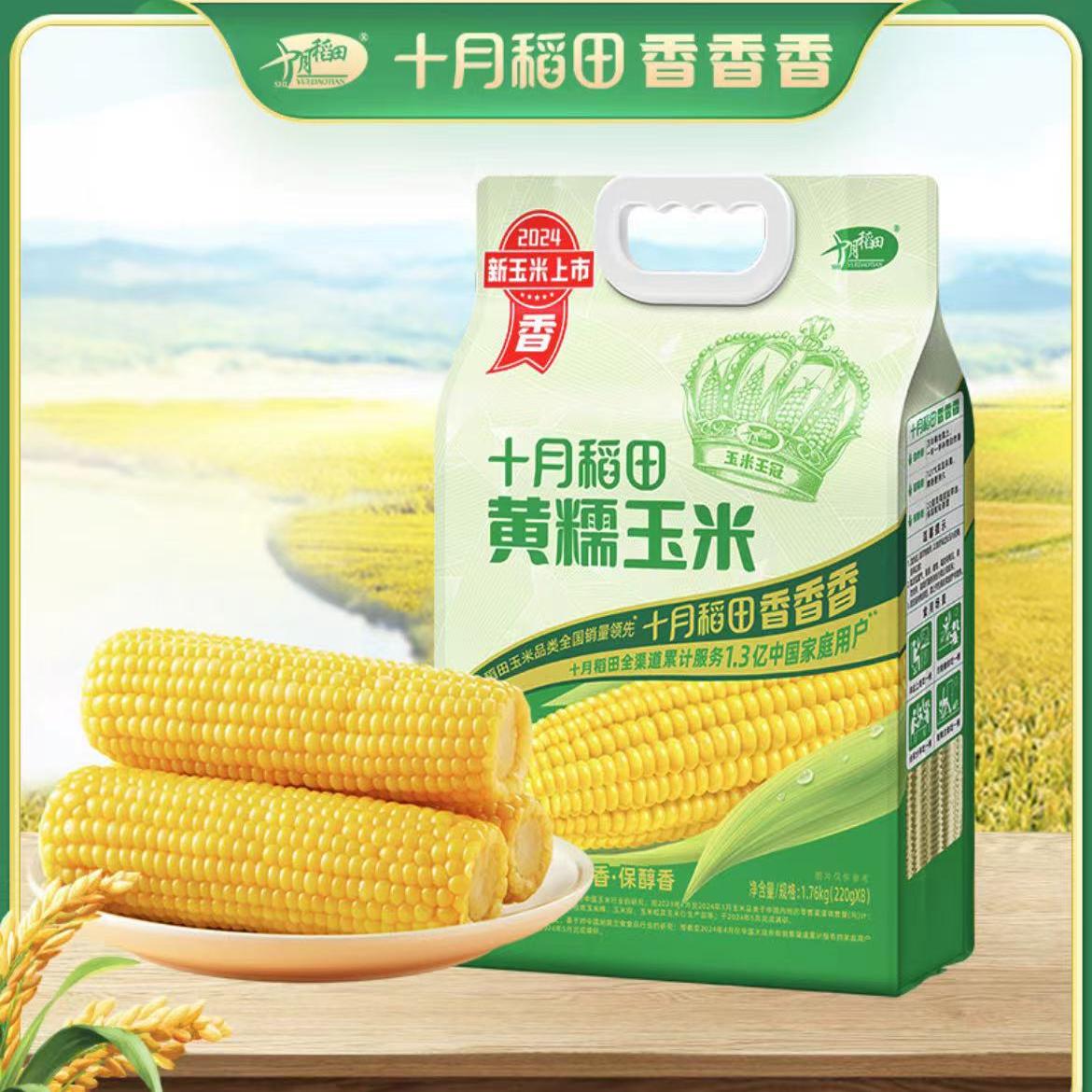 十月稻田官方旗舰店黄糯玉米棒白糯玉米段黑糯低脂甜软新鲜黑玉米图片