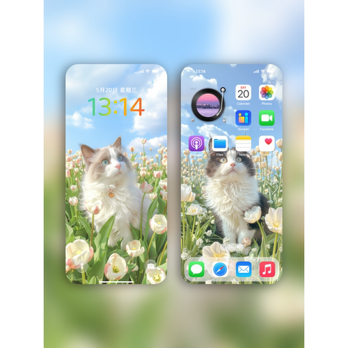 可爱小猫自拍手机壁纸iphone苹果安卓华为壁纸IOS26苹果18壁纸