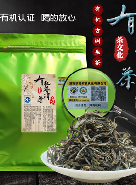 有机普洱生茶叶春茶云南正宗兰花香蜜香无农残绿色生态古树口粮茶