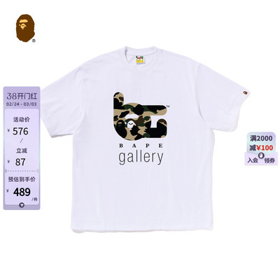 BAPEGALLERY印花限定款短袖T恤