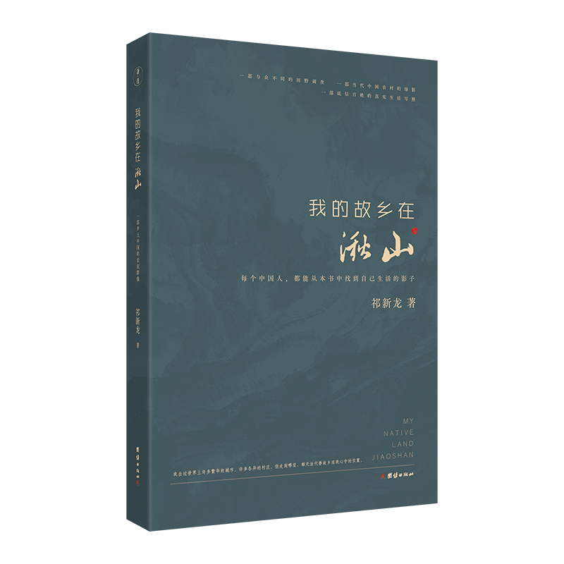 我的故乡在湫山一部当代中国农村的缩影田野调查乡土中国底层百姓的真实生活写照农民乡村与城市中国农村社会改革现当代文学集散文