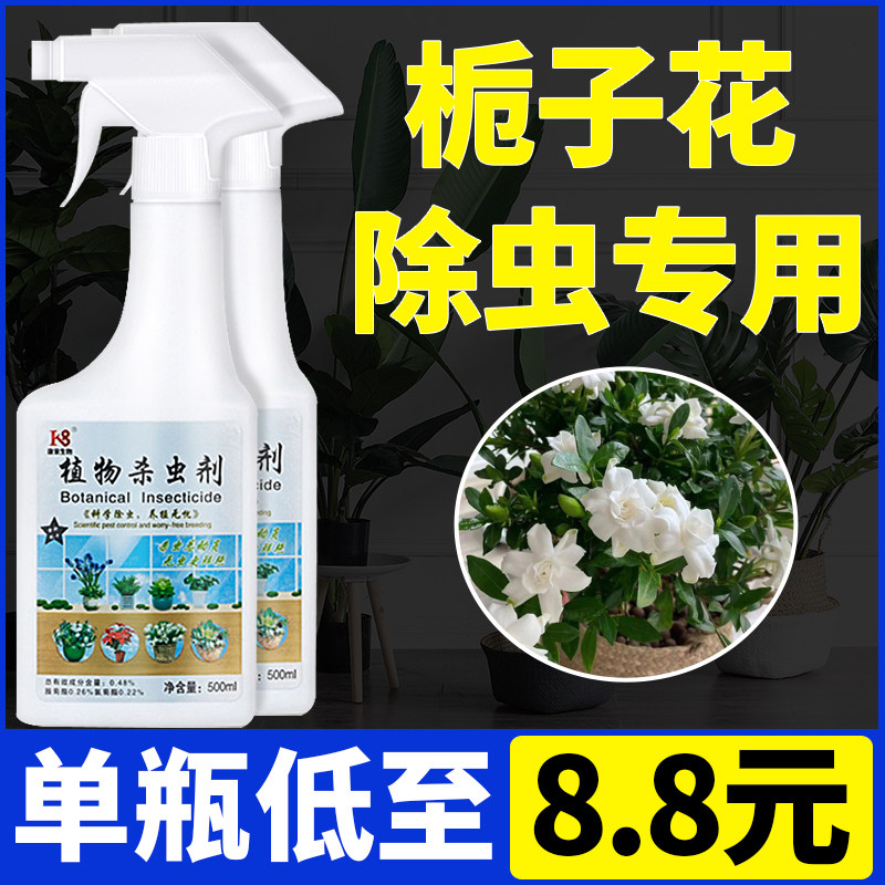 花卉去虫栀子花长虫月季花杀虫剂种花除虫剂药生虫花盆栽除虫药