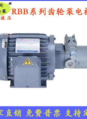 RBB-204Y/210/212/216/220Y摆线齿轮油泵RBB-206/208Y Y2冷镦带阀