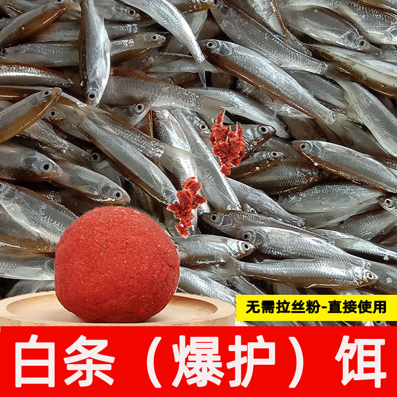 钓小白条饵料野钓白条鱼饵专用餐条打窝料饵料小鱼单开鱼食小药,户外/登山/野营/旅行用品,台钓饵,淘宝优惠券,粉丝福利购,淘宝优惠卷