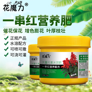 一串红肥料炮仗红营养肥爆仗红拉尔维亚象牙红西洋红洋赪桐催花肥