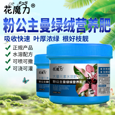 粉公主曼绿绒肥料Philodendron Pink Princess室内养护专用营养肥