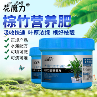 棕竹肥料观音竹筋头竹盆景地栽园林观叶植物厚叶养护专用营养肥