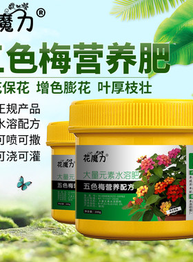 五色梅肥料马缨丹臭草绵鼻公花臭金凤五色绣球变色草催花用营养肥