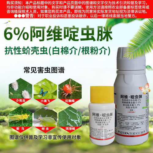 6%阿维啶虫脒多肉蚜虫小黑飞月季