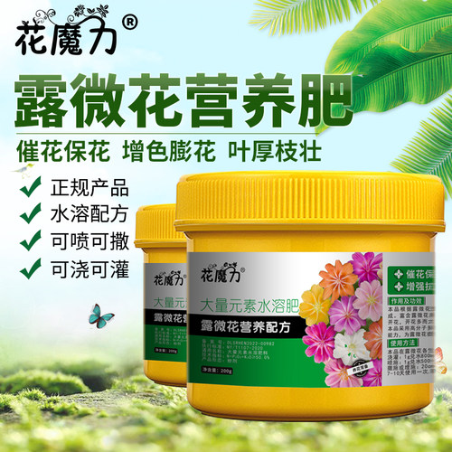 露微花肥料琉维草繁瓣花特鲁蒂利琉维草Lewisia地栽养护用营养肥