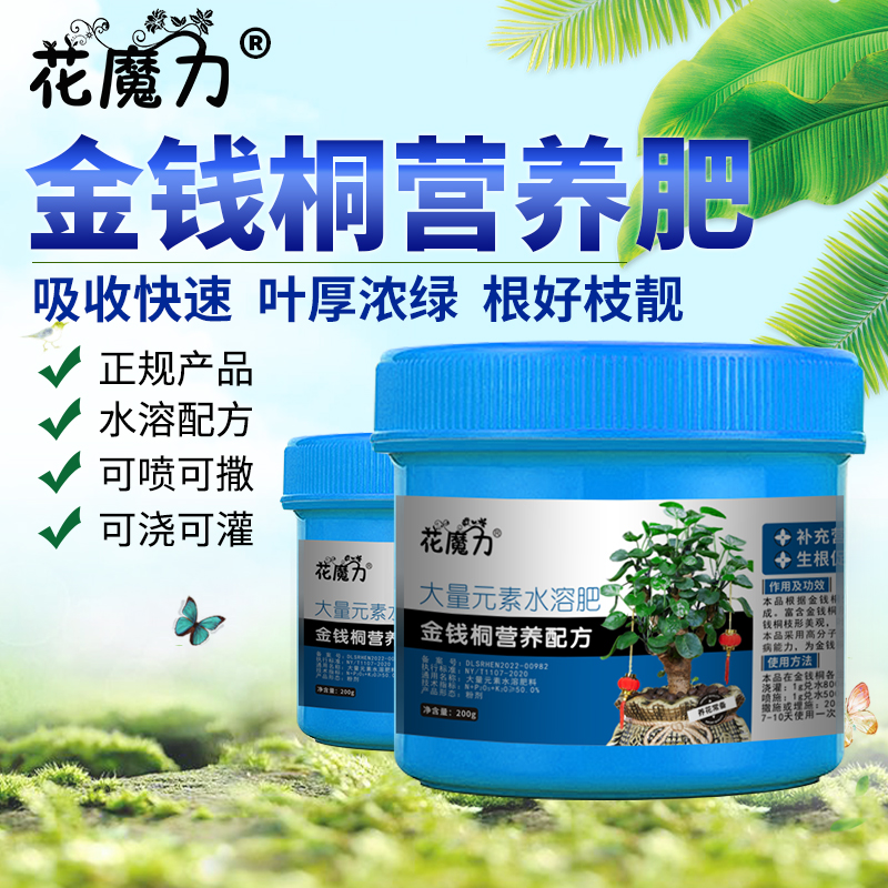 花魔力金钱桐榕专用肥厂家批零