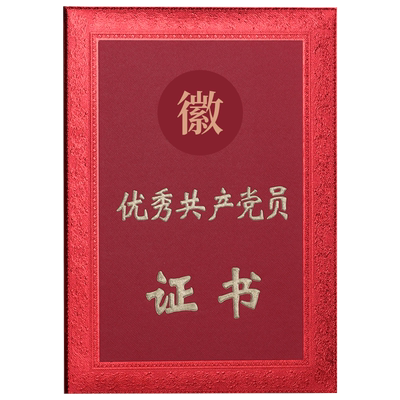 启恒优秀党员党务证书可设计打印