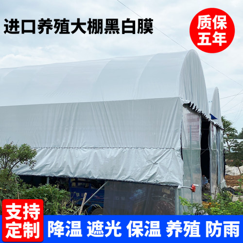 长寿黑白膜冬暖夏凉遮阳防晒