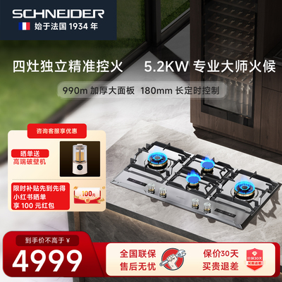 法国SCHNEIDER三眼大尺寸燃气灶