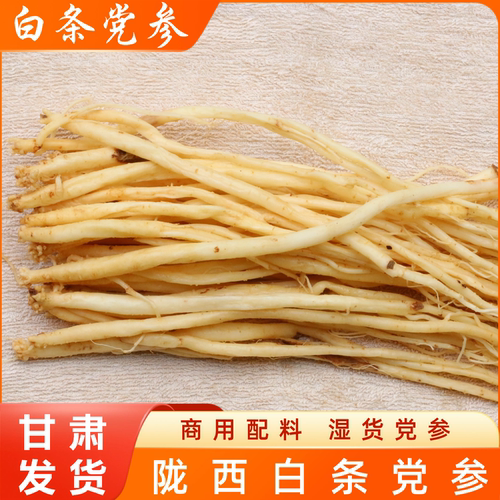 陇西白条党参正品甘肃当参