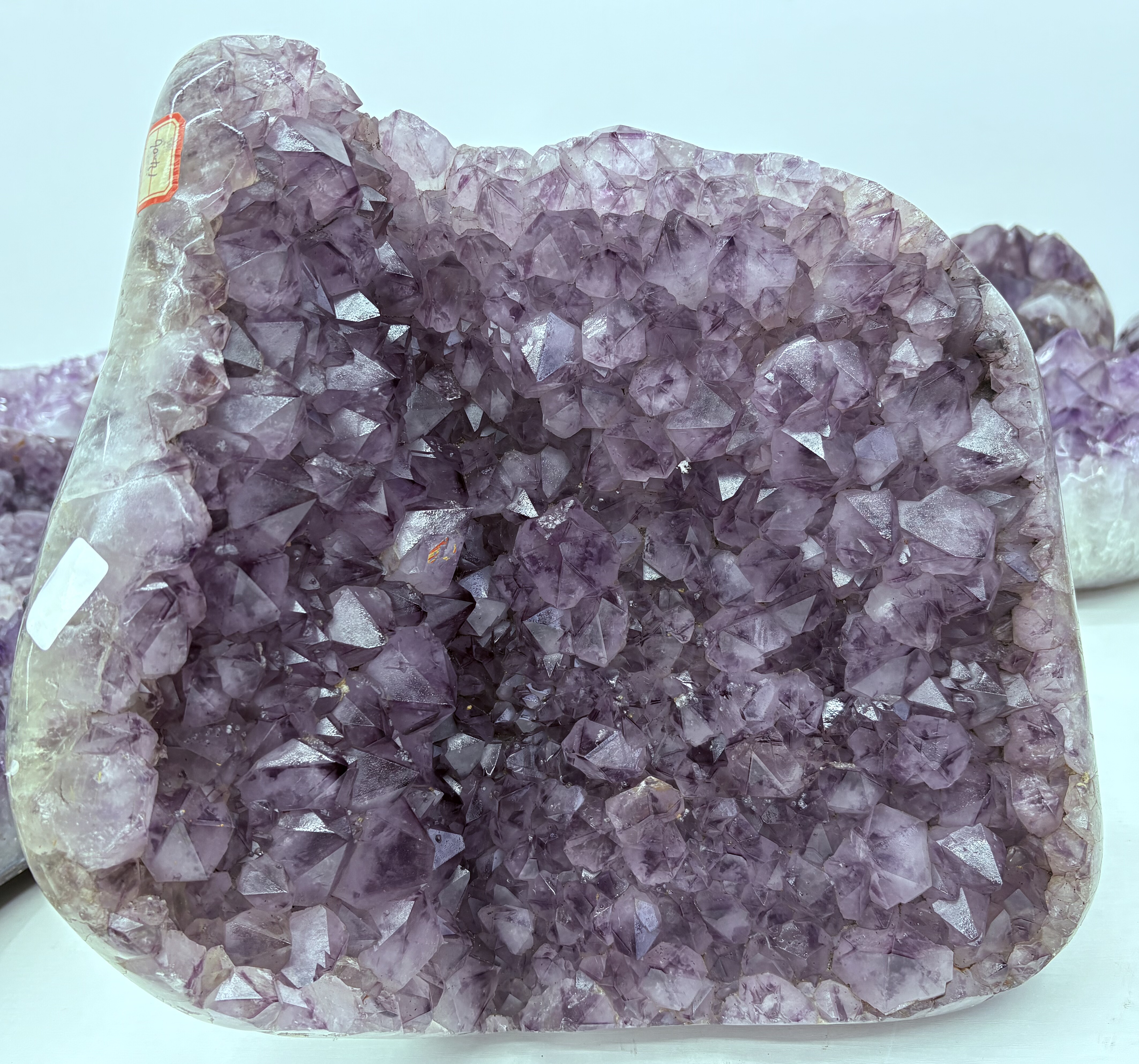 A644  38*33平板大牙,饰品/流行首饰/时尚饰品新,奇石,淘宝优惠券,粉丝福利购,淘宝优惠卷