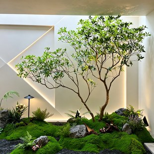 仿生马醉木造景仿真绿色植物室内外橱窗装饰假树天井景观景观套餐