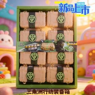 新款三角洲行动武器装备箱合金兵器北极星怜悯钥匙卡模型新年礼物