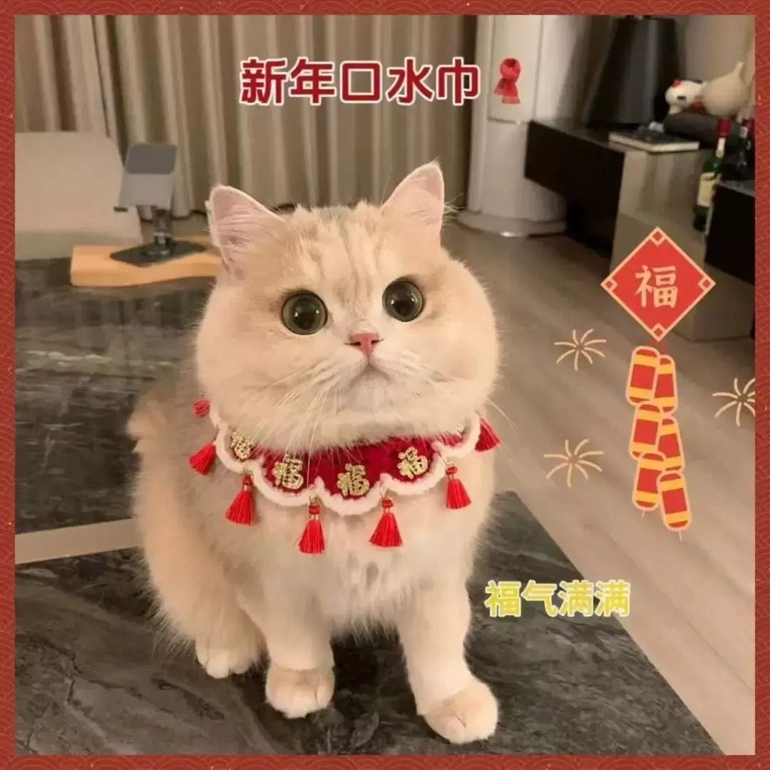 宠物新年围脖福字喜庆狗猫咪秋冬衣服可爱围兜小猫口水巾猫猫项圈,宠物/宠物食品及用品,围巾/口水巾,淘宝优惠券,粉丝福利购,淘宝优惠卷