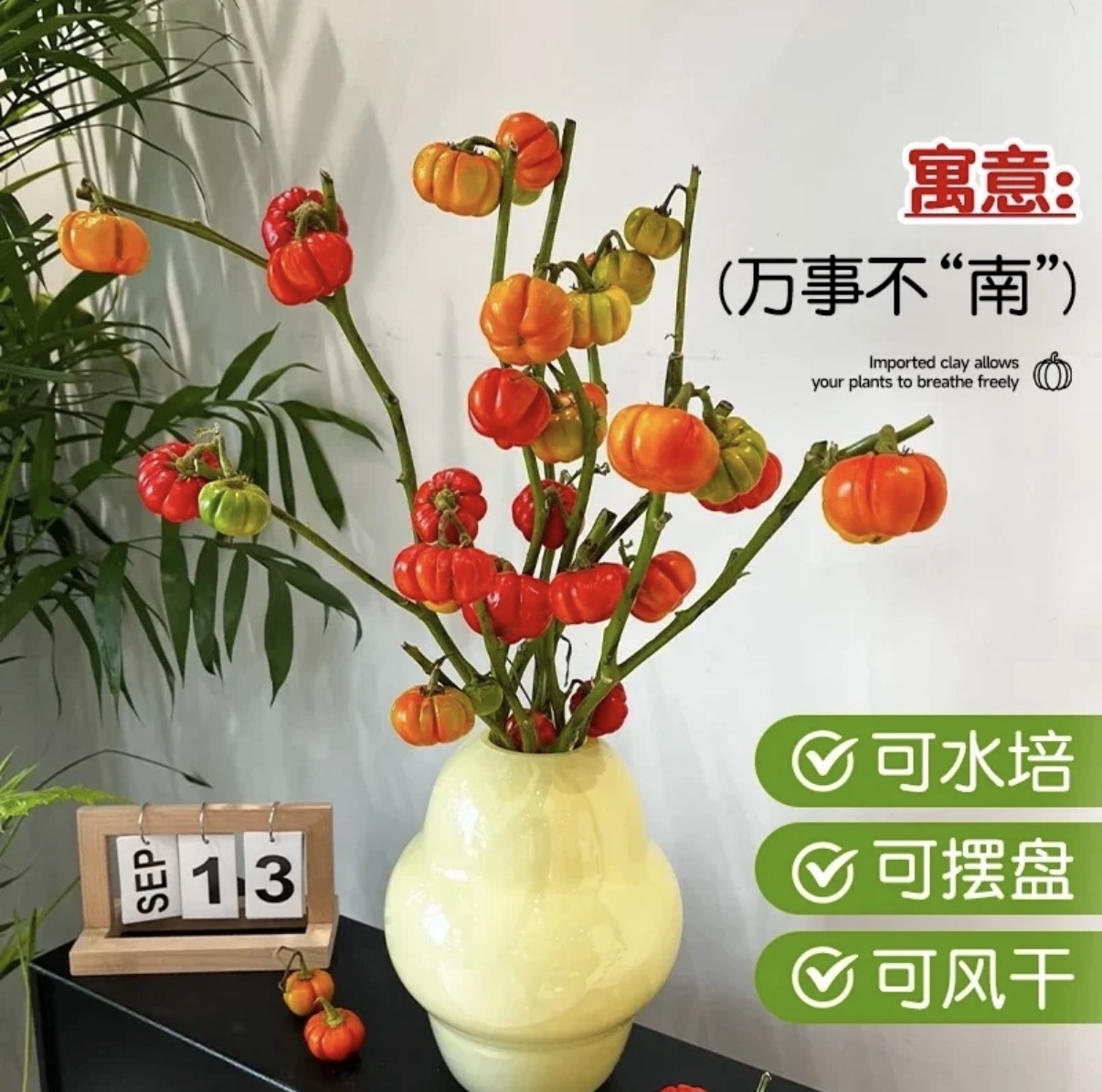 小南瓜鲜花水培鲜切枝观赏插花