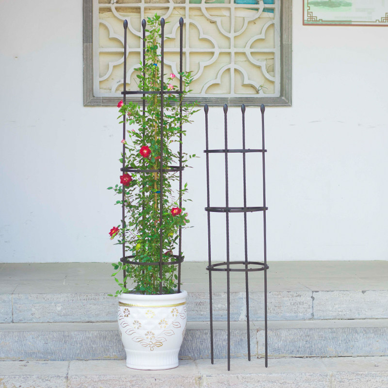 铁艺爬藤花架月季铁线莲户外花支架阳台绿植支柱室内飘香藤支撑杆