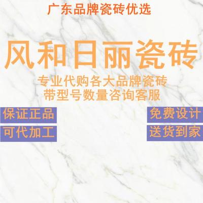 风和日丽瓷砖大理石地8008
