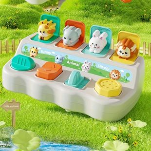 Montessori Pop up Animal Toys and Learning Boxes - Enhance L