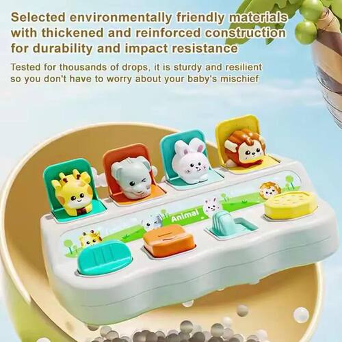 Montessori Pop up Animal Toys and Learning Boxes - Enhance L