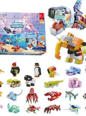 Building Blocks Christmas Advent Calendar Box Toy for Kids A