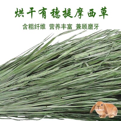 干草岷北提源烘干提摩西兔兔