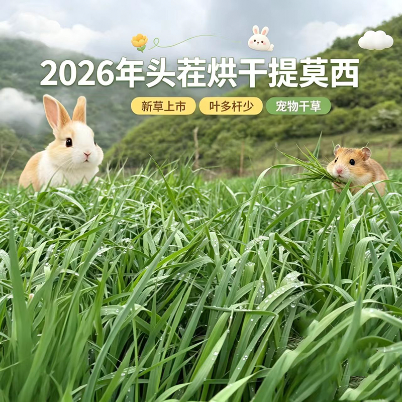 26年新烘干提摩西草段北提草兔子干草粮兔饲料龙猫荷兰猪豚鼠牧草