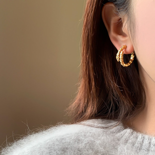 精致耳环高级感轻奢耳饰 蛇形耳圈耳钉女2025新款 许我耀眼同款 爆款