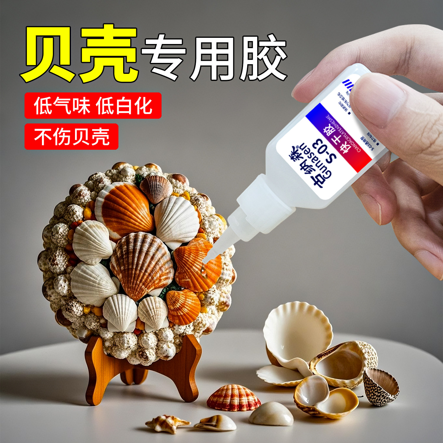 粘贝壳的胶水海螺风铃石头贝类图片
