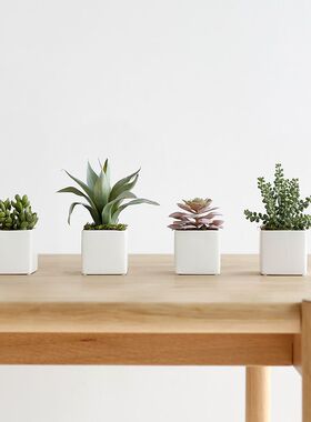 多肉植物组合盆栽 假花绿植装饰家居室内迷你小摆件