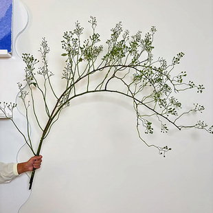 一树|山归来 火棘果 蔷薇果 玫瑰果鲜切枝切果水养插花云南直发