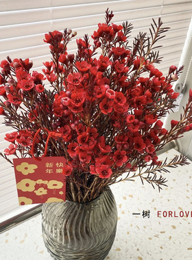 一树|A级澳洲腊梅鲜花稀有重瓣腊梅超长待机云南基地直发顺丰包邮