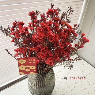 一树|A级澳洲腊梅鲜花稀有重瓣腊梅超长待机云南基地直发顺丰包邮