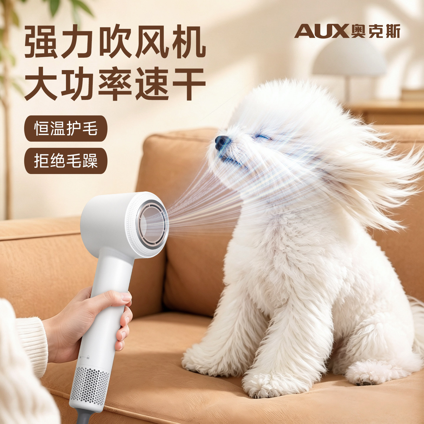 奥克斯大功率宠物强力吹水机小型犬专用吹风机长毛狗洗澡烘干神器